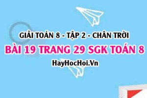 Bài 19 trang 29 Toán 8 Tập 2 Chân trời sáng tạo